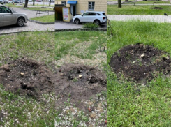 В сквере «Пионерский» высадили новые липы, но кто спилил старые - остается загадкой