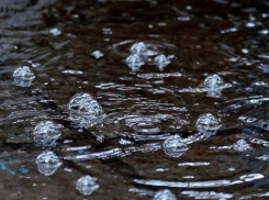 Воронежские спасатели предупредили о сильном ветре и проливных дождях