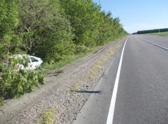 11-летний мальчик пострадал в ДТП на трассе «Воронеж-Луганск»