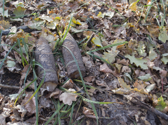 Снаряды времен Великой Отечественной войны были найдены в Воронежском заповеднике