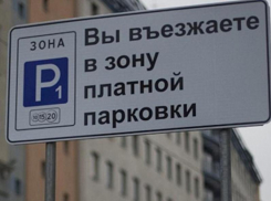 Не платить за парковку разрешили многодетным семьям в Воронеже