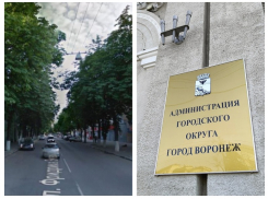 Станет ли уникальная каштановая аллея жертвой нового стадиона, ответили в мэрии Воронежа 