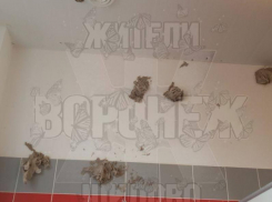 На “грязное хобби” школьников пожаловались в Воронеже