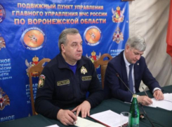 Глава МЧС России распорядился помочь каждому пострадавшему от паводка воронежцу