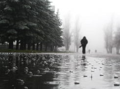 Дождливая неделя ожидает воронежцев