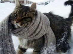 В Воронеже на рабочей неделе заметно похолодает