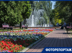 Как выглядит сквер Воронежа, на который каждый месяц тратят до миллиона рублей