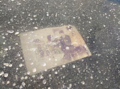 Далекую историю жизни обнаружили вмерзшей в Воронежское водохранилище