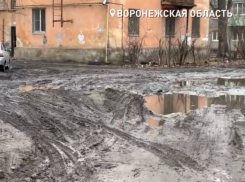 Живут под напряжением: воронежцев из аварийного дома испытывают экстремальными условиями 