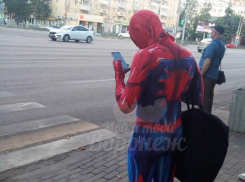 Типичные будни супергероя наглядно показали в Воронеже
