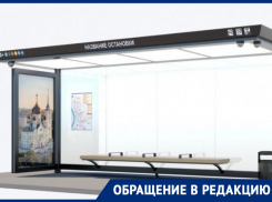 «Зачем нам это контрастное чудо»: воронежцы требуют обычную, а не умную остановку