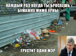 Воронежцы подсказали Александру Гусеву, где самые большие кучи мусора (ФОТО-ВИДЕО)
