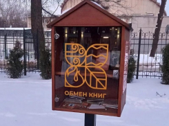 У воронежского Цирка появился книгообменник