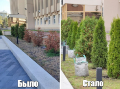 Туевое наследие Нетёсова исчезло в Воронеже