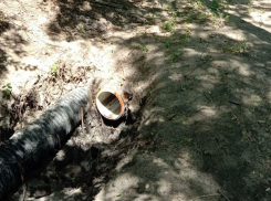 Слив нечистот в очередной раз заметили в месте, где купаются воронежцы