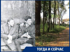 Какова ценность Бринкманского сада, по которому не могут определится власти Воронежа