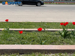Долгожданное потепление скоро придет в Воронеж