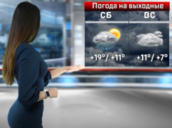 Жарко и дождливо: что воронежцам принесут первые выходные апреля 