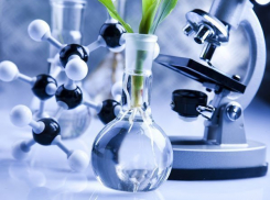 Четверо воронежских ученых получили гранты программы «Умник»