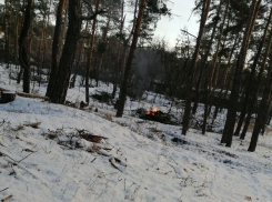 Непонятные зимние костры в лесу напугали жителей Воронежа 
