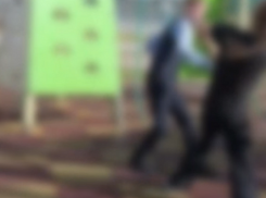 Личности участников конфликта в школьной драке мальчика и девочки установлены 