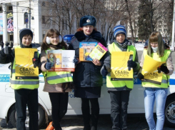 В Воронеже инспекторы ДПС напомнили водителям и юным пешеходам в правилах дорожного движения