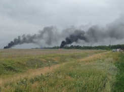 Приезжие националисты разгромили и сожгли лагерь геологов на месте предполагаемой добычи никеля в Воронежской области (ФОТО)