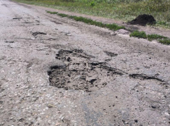 Перевозить детей опасно: воронежцы призвали властей избавить их от разбитого пути в школу