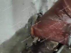 Дом тонет с момента сдачи: воронежцы пожаловались на бездействие УК