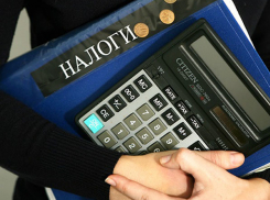В Воронеже неизвестные предприниматели не заплатили  налогов на два миллиона рублей