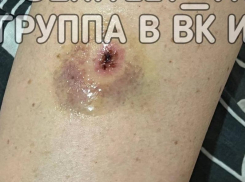 Покусала продавца: агрессивная женщина ограбила магазин в Воронеже