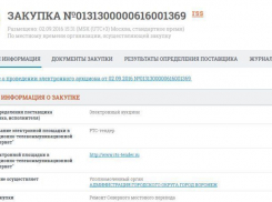 На ремонт Северного моста воронежские власти не смогли найти подрядчика