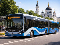 Техзадание на проектирование метробуса отправили на доработку в Воронеже