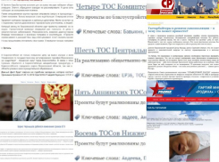 На самоизоляции «Единая Россия» думала о ТОСах, а эсеры – о гастарбайтерах