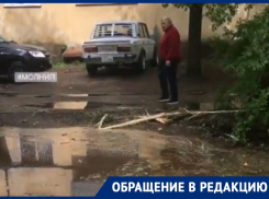 В Воронеже сообщили о попадании молнии в дерево