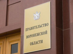 Губернатор Гусев поддержал кандидатуру Андрея Пищугина на пост главы Борисоглебска 