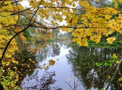 В Семилукском районе в реке утонул мужчина