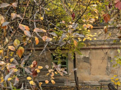 Этаж исторического дома хотят сдать в аренду за 45 тыс рублей в месяц в Воронеже