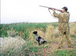 В Воронежской области власти запретили охотиться на дичь