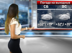 Придёт ли на выходных в Воронеж долгожданная свежесть, рассказала Вика из «Блокнота»