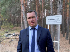 Депутат Артем Рымарь потребовал от природоохранной прокуратуры разобраться с вырубкой Северного леса  