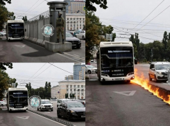 Фантазиями на тему рабочих делиниаторов для метробуса поделились воронежцы