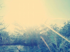 В Воронеже на выходных резко потеплеет на 20 градусов