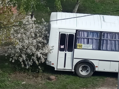 Маршрутчик превратил зеленый уголок в персональную парковку под Воронежем