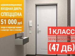 ТОВАР ДНЯ: Шумоизоляционная входная дверь «Гардиан» 