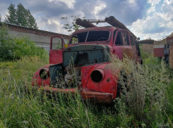 Погост заброшенных пожарных машин сняли на фото в Воронеже
