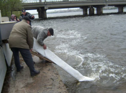 36 тысяч рыб выпустили в Воронежское водохранилище 