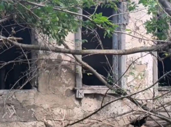 Выживайте, как хотите: 50-летнюю проблему никак не хотят решать воронежские власти