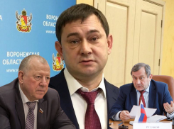 Облдума «имени Нетесова» оставила Гордеева и других чиновников без отдыха за счёт бюджета