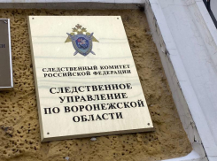 Следователи заинтересовались, почему воронежский детский садик затоплен фекалом